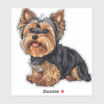 Yorkie Charm Yorkshire Terrier