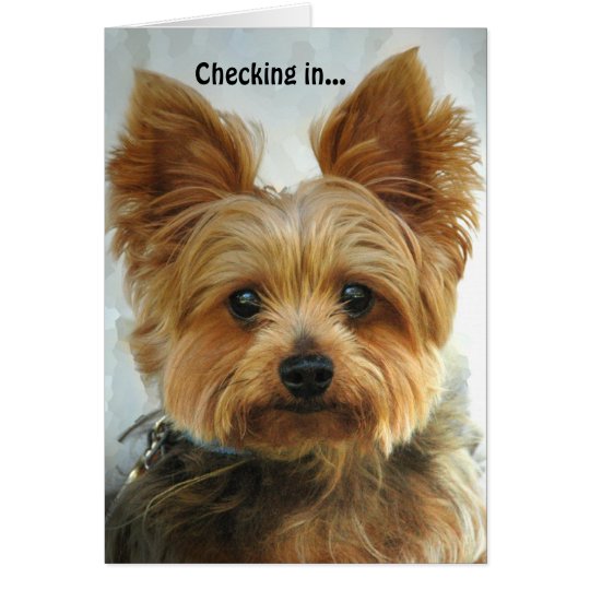 Yorkie - Checking in Card