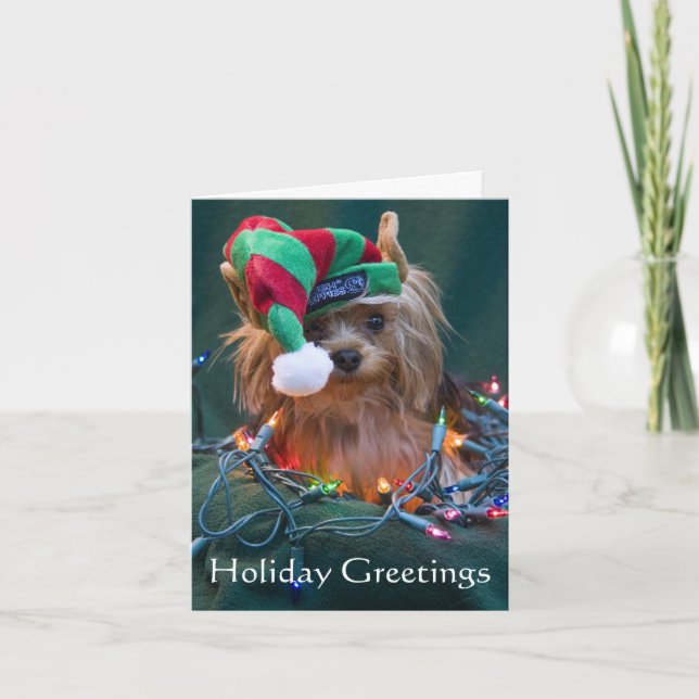 Yorkie Christmas Card (Front)