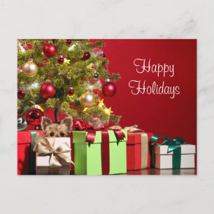 Yorkie Christmas Postcard