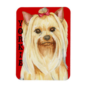 Yorkie Colour Block Magnet