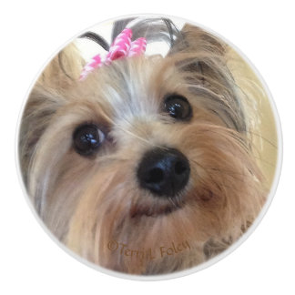 Yorkie Custom Ceramic Knob