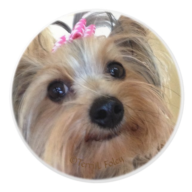 Yorkie Custom Ceramic Knob (Front)