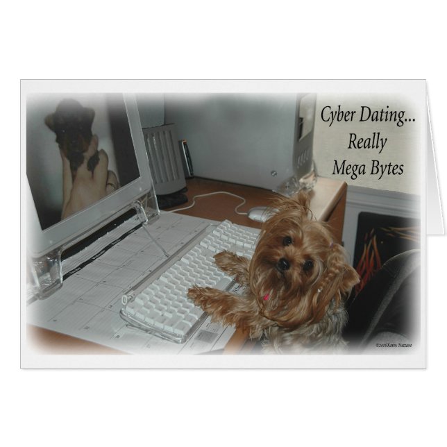 Yorkie Cyber Dating (Front Horizontal)