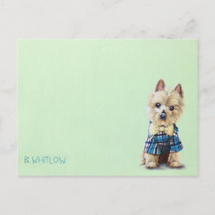 Yorkie Dog Postcard