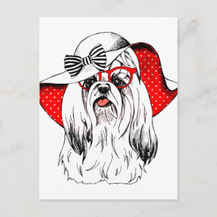 Yorkie Fashion Shoot Postcard