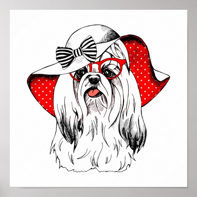 Yorkie Fashion Shoot Poster (Front)