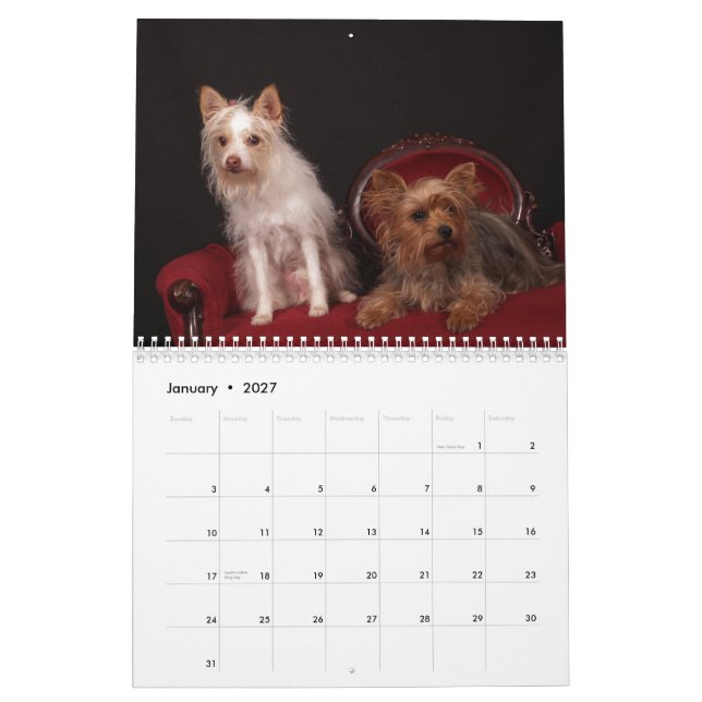 Yorkie Friends 2013 Calendar (Jan 2027)