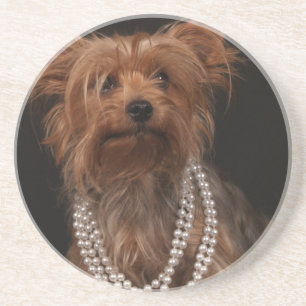 Yorkie in Pearl Necklace Coaster