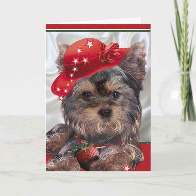 Yorkie in red hat cards (Front)