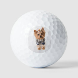 yorkie-in sweater golf balls