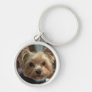 yorkie keychain yorkie keychains yorkie key chain designs zazzle canada yorkie keychain yorkie keychains yorkie key chain designs zazzle canada