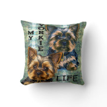 Yorkie life
