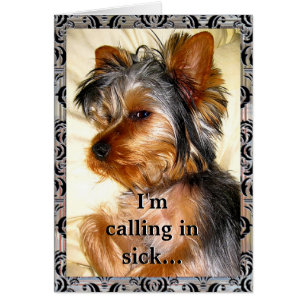 Yorkie LoveSick Customizable