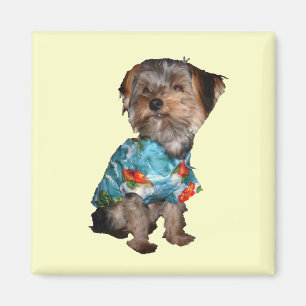 Yorkie Magnet