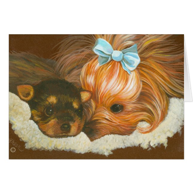 Yorkie Mama (Devant horizontal)