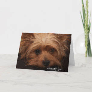 Yorkie Missing You Card