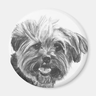 Yorkie Mix Charcoal Drawing Magnet