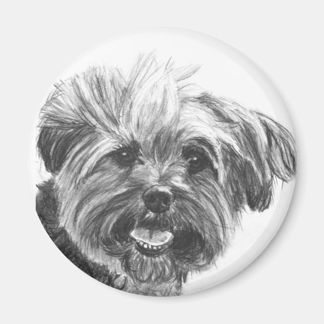 Yorkie Mix Charcoal Drawing Magnet (Front)
