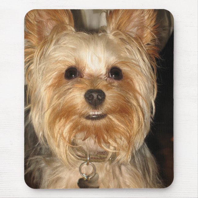 yorkie mouse pad (Front)