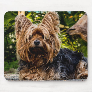 Yorkie Mouse Pad