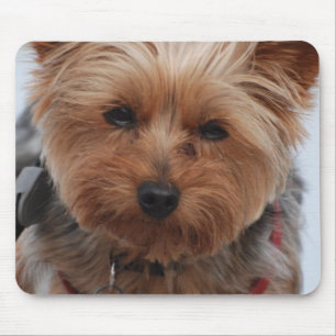 Yorkie Mouse Pad