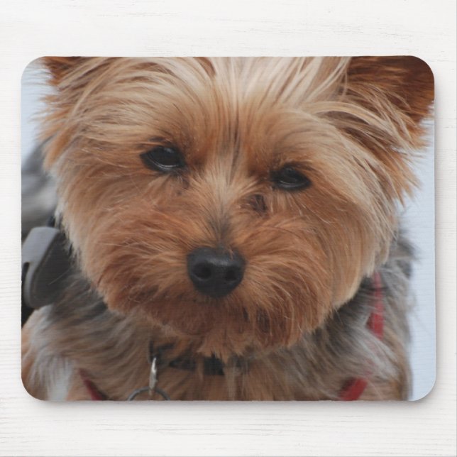 Yorkie  Mouse Pad (Front)