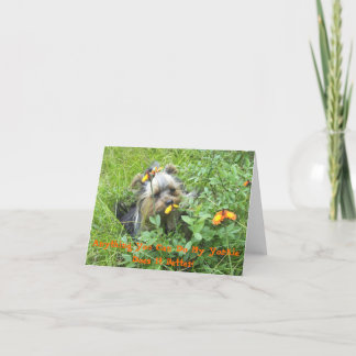 Yorkie Note Cards-Anything You Can Do My Yorkie Card