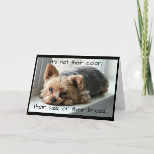 Yorkie on Window Sill Pet Sympathy Card