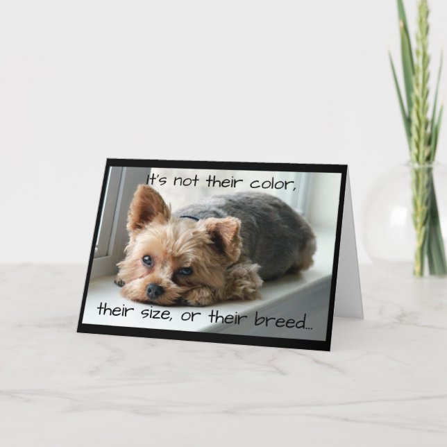 Yorkie on Window Sill Pet Sympathy Card (Front)