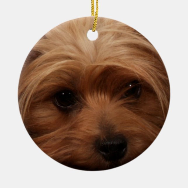 Yorkie or Your Dog Picture Ceramic Ornament (Front)