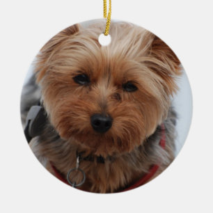 Yorkie  Ornament