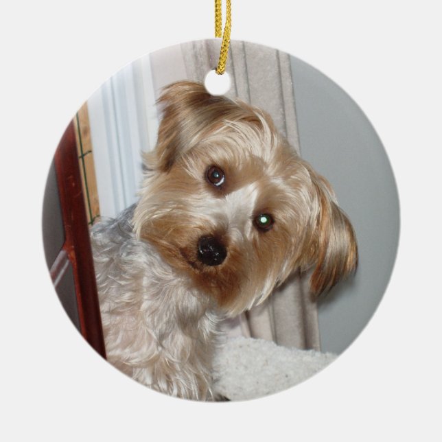 Yorkie Peeking Around the Corner Ceramic Ornament (Front)