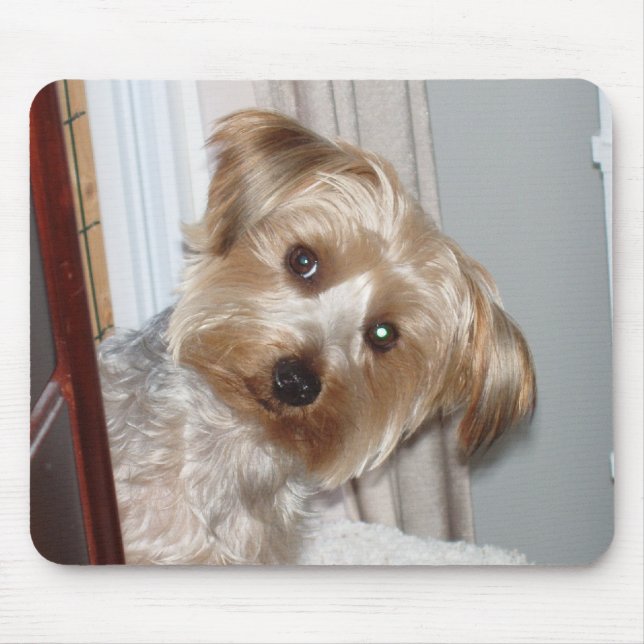 Yorkie Peeking Around the Corner Mouse Pad (Front)