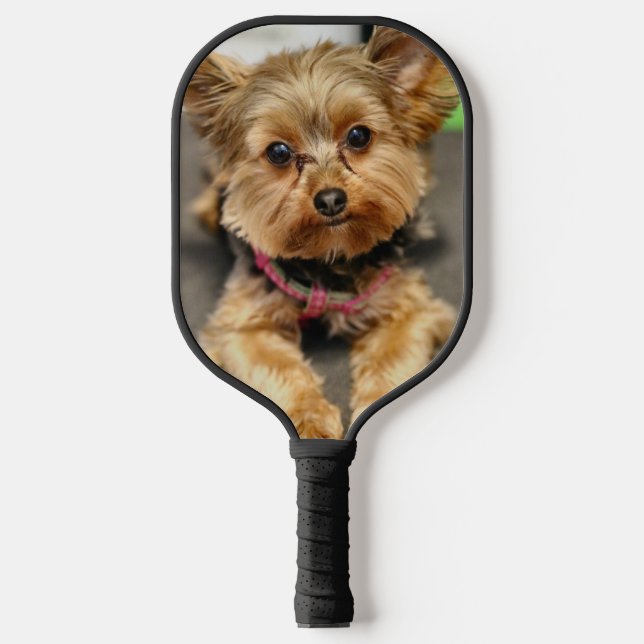 Yorkie  pickleball paddle (Front)