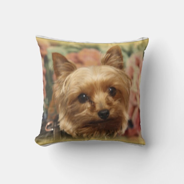 Yorkie Pillow (Front)