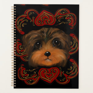 YORKIE POO