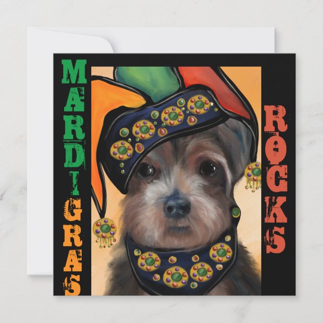 YORKIE POO          (Front)