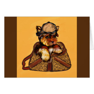 Yorkie Poo - Fête des pères