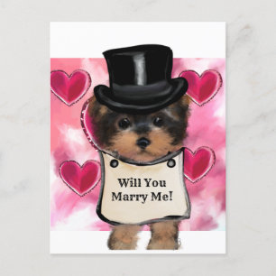 Yorkie Poo   Postcard