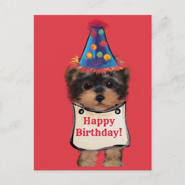 Yorkie Poo    Postcard (Front)