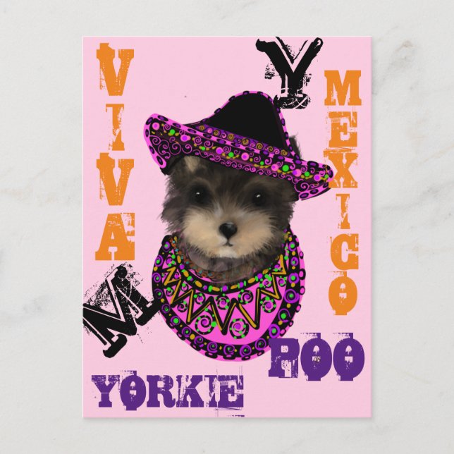 Yorkie Poo    Postcard (Front)