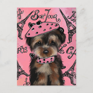 YORKIE POO          POSTCARD