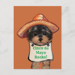 Yorkie Poo    Postcard