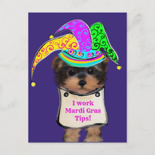 Yorkie Poo  y Postcard