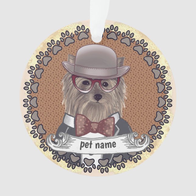 Yorkie portant des lunettes (devant)