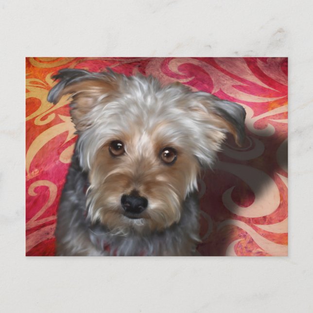 Yorkie Postcard (Front)
