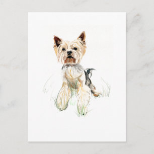Yorkie Postcard – Yorkshire Terrier, Dog Parent 