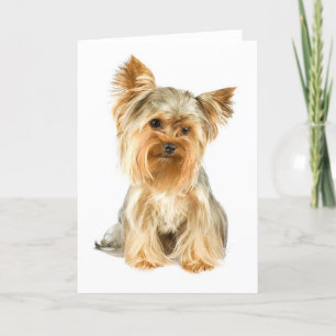 Yorkie Puppy Greeting Card