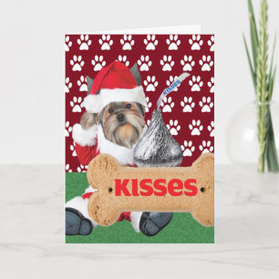 Yorkie Puppy Kiss Cartes de Noël